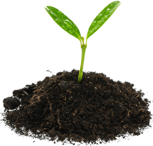 Eco-Friendly Practices